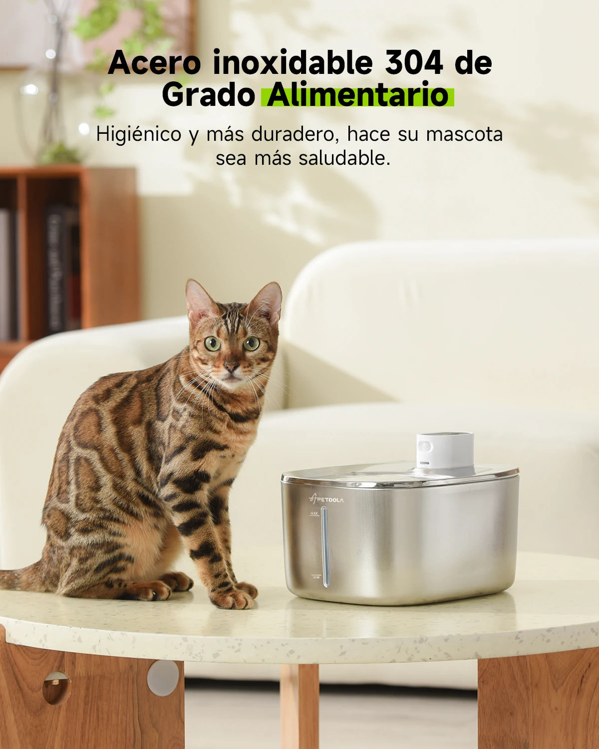 Fuente de Acero Inoxidable Inalámbrica 4L: Libertad y Pureza Total