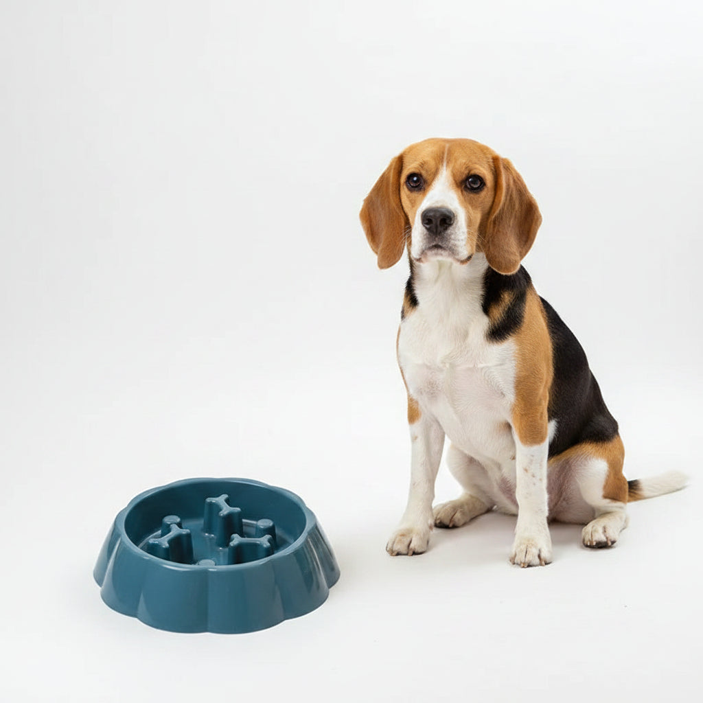 Comedero Antiahogo de Colores para Perros y Gatos - Modelo Clásico