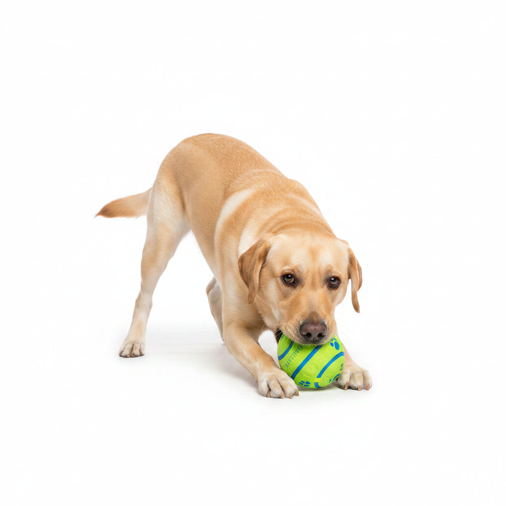Pelota Interactiva con Sonido para Perros
