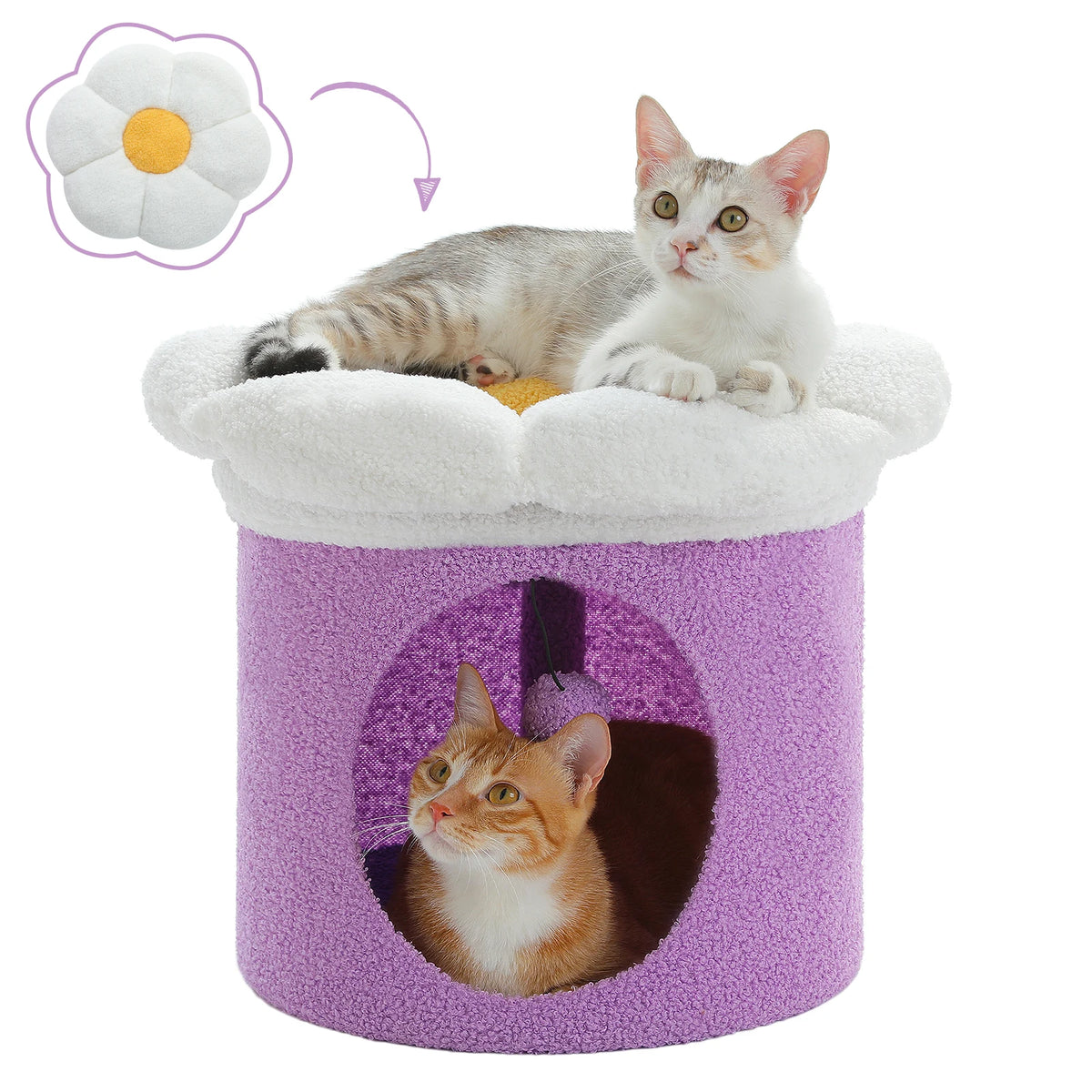 Cama lila para gatos con diseño de flor y casa interior