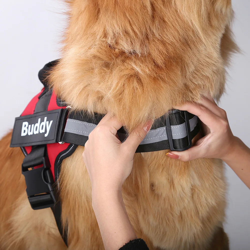 Arnés Personalizable para Perros – Negro, Rojo y Azul