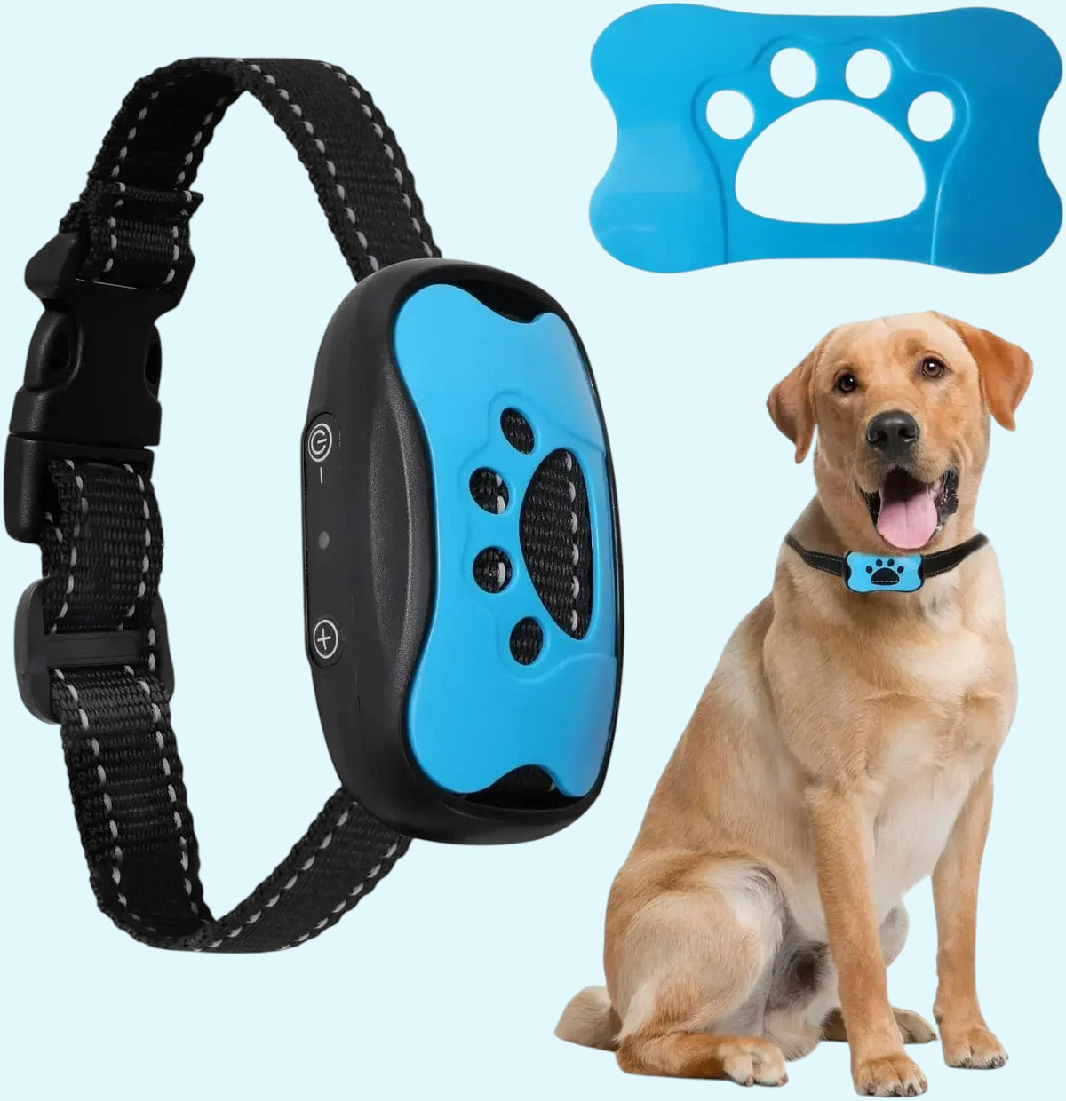 Collar antiaullidos inteligente: adiestramiento seguro y sin estrés