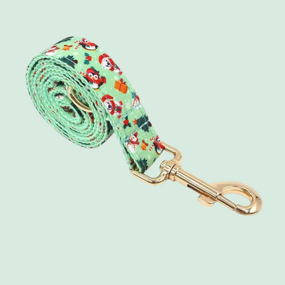 Collar y Correa de Nylon Verde para Perros – Durabilidad y Estilo Natural