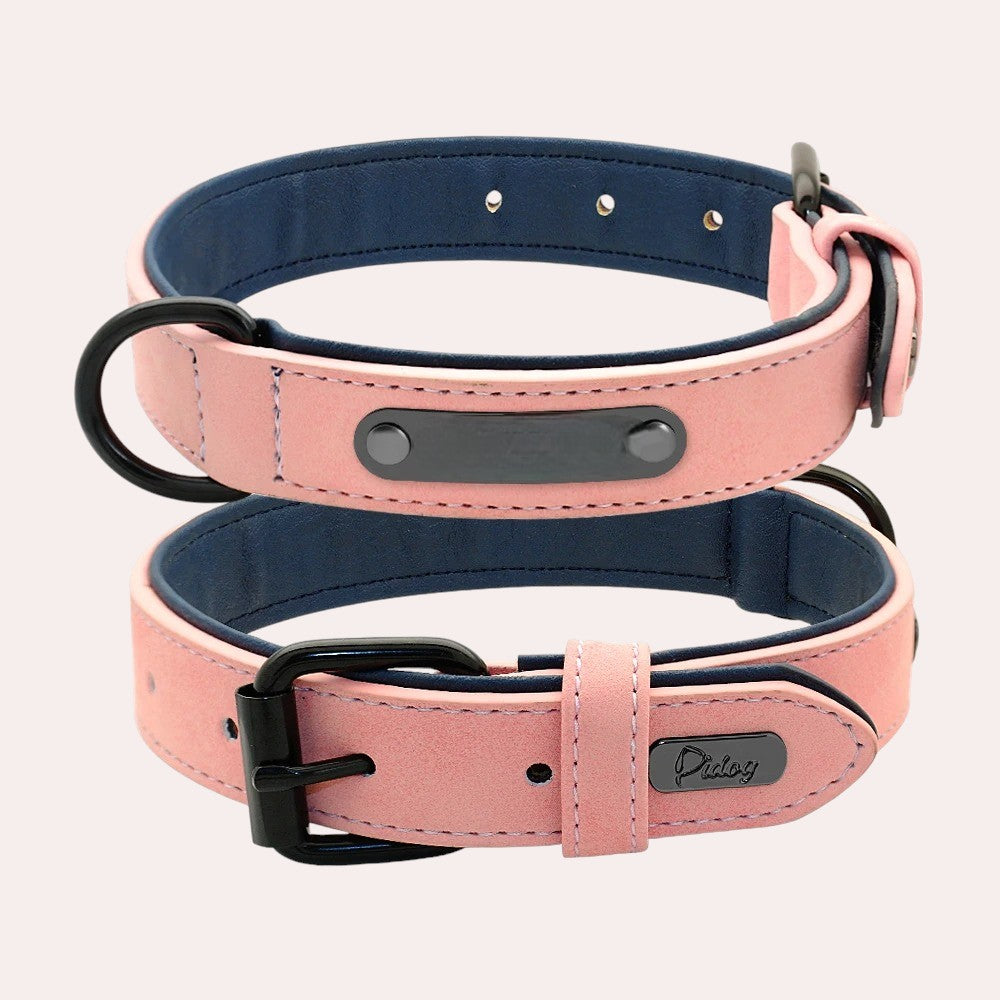 Set de Collar y Correa de Cuero para Perros – Máximo Estilo y Confort