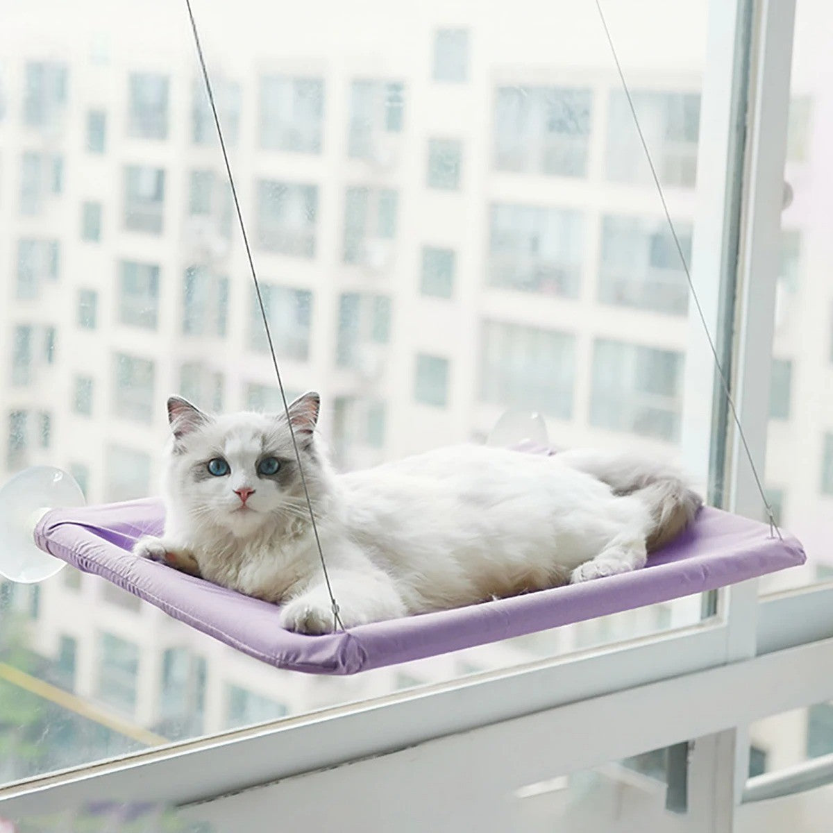 Hamaca Ventana para Gatos de Oxford – Comodidad y Diversión con Vista Panorámica