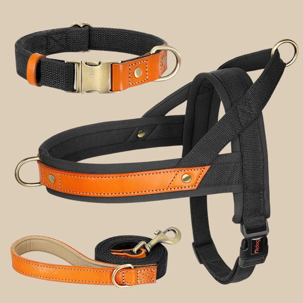 Kit Árnes Perro Completo