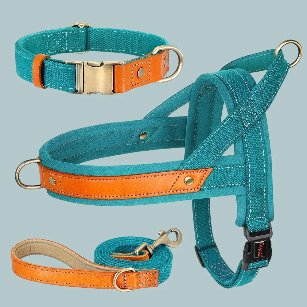 Kit Árnes Perro Completo