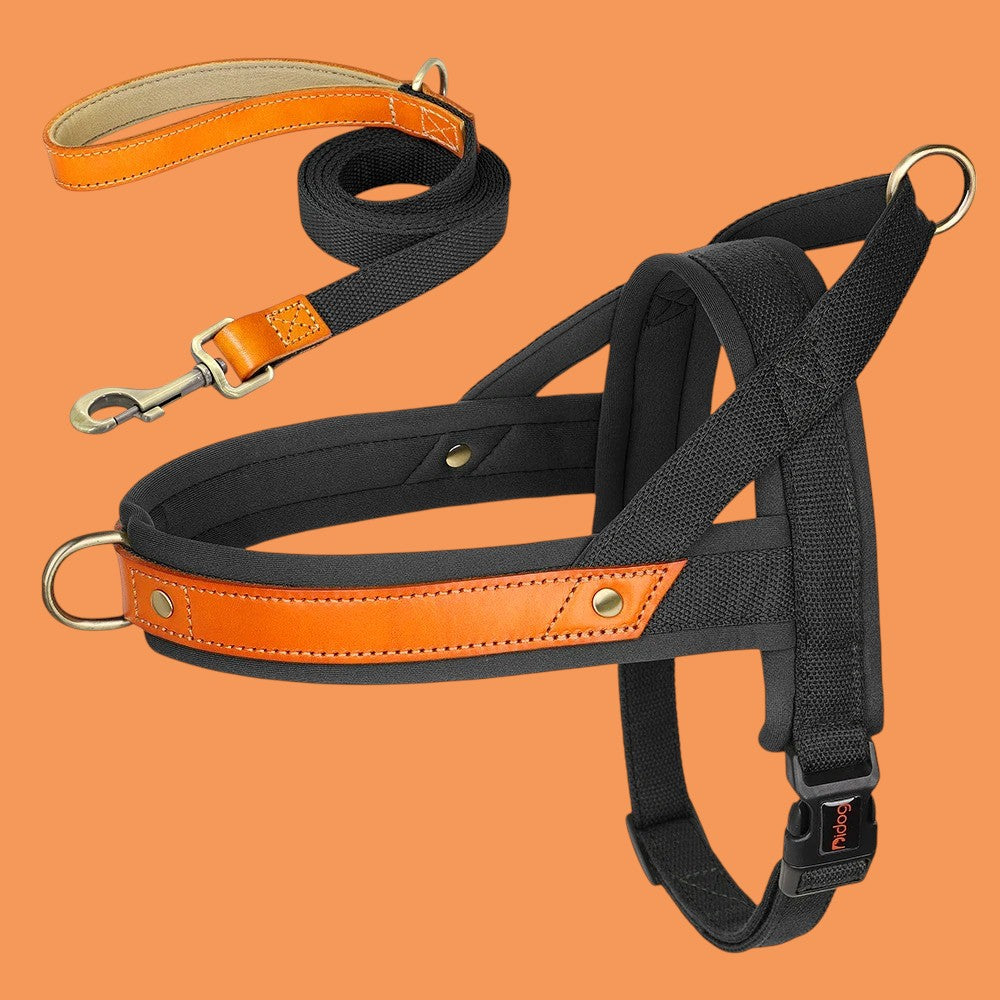 Kit Árnes y Collar para Perros
