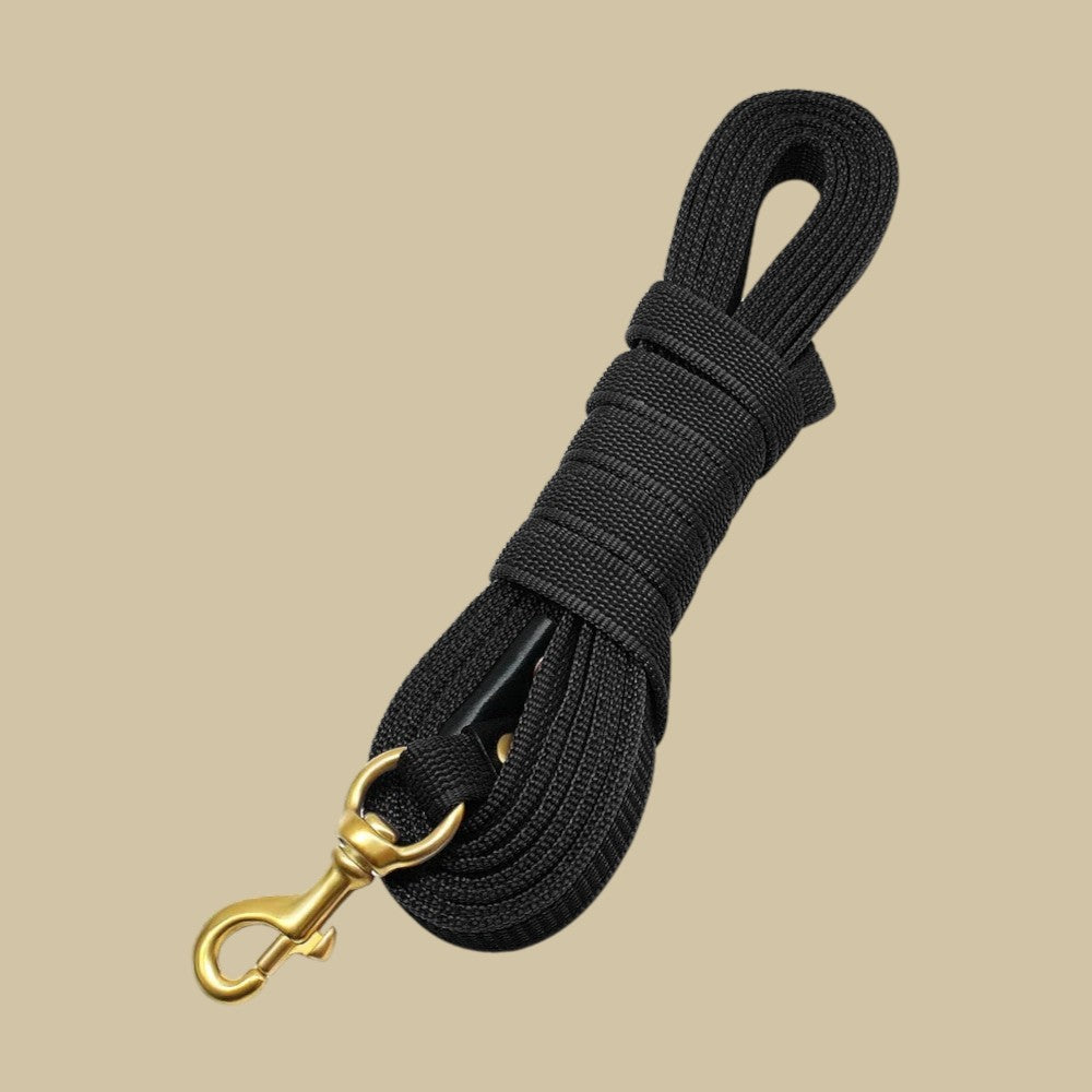 Correa para Perros de Nylon Larga Rosa Intenso