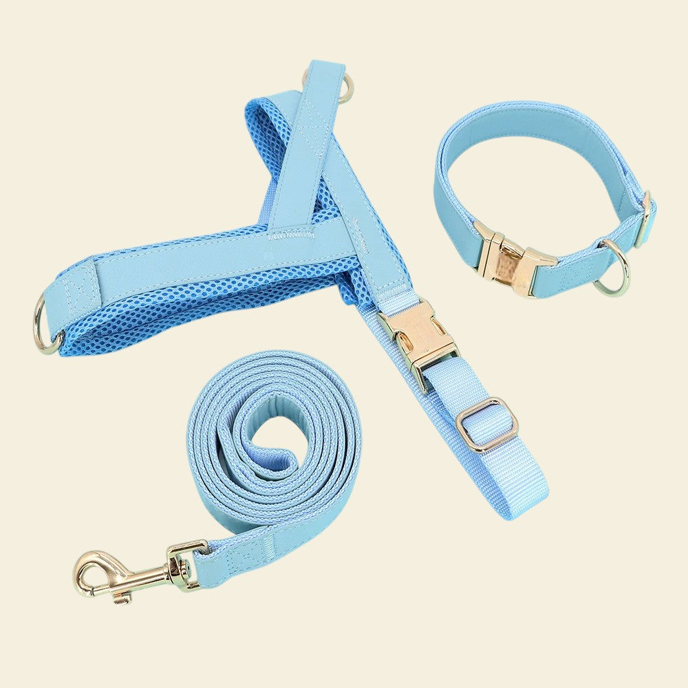 Conjunto de Arnés, Collar y Correa de Cuero y Nylon Azul Cielo para Perros – Paseos Seguros y Elegantes
