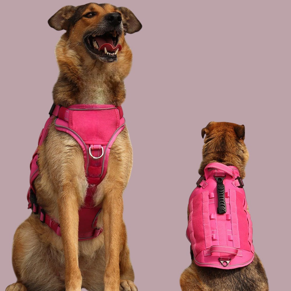 Árnes Antiescape para Perros