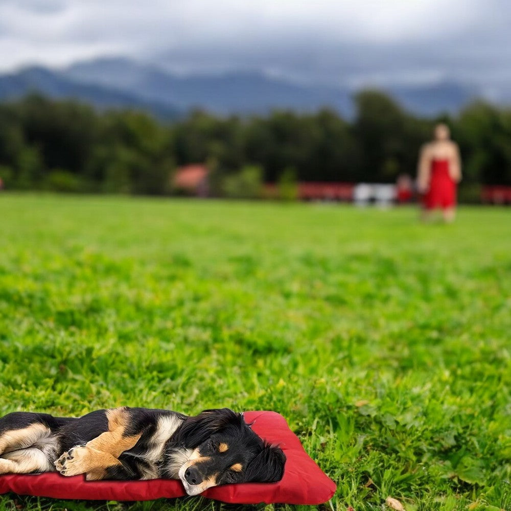 Cama Impermeable de Exteriores para Perros