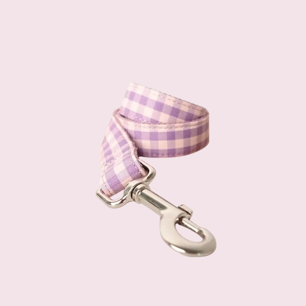 Correa Premium para Perros: Seguridad y Comodidad en Cada Paseo