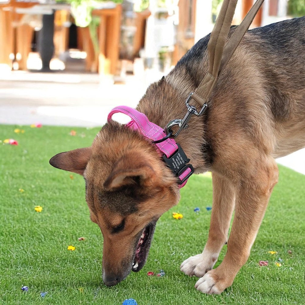 Collar Militar Rosa con Asa de Control para Perros Medianos y Grandes