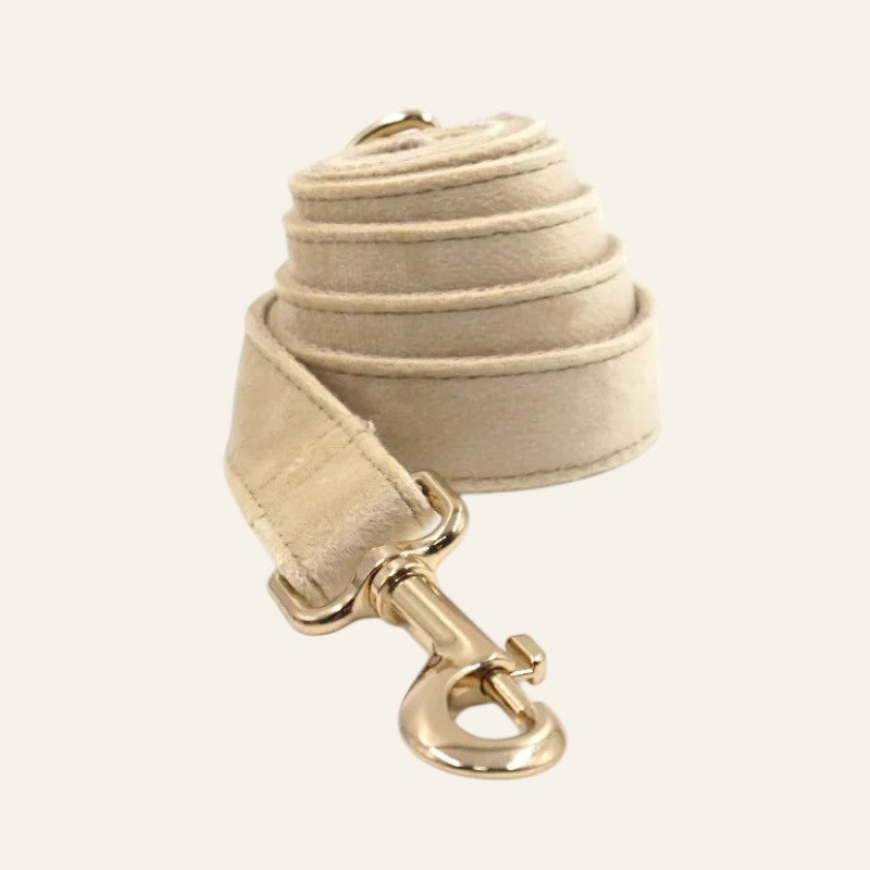 Collar de Nylon Clásico con Correa para Perros – Suave, Resistente y Estiloso