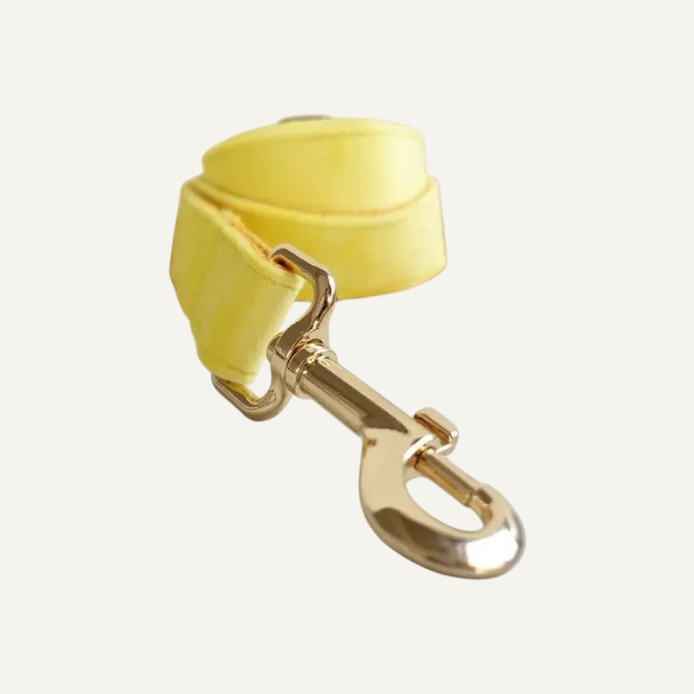 Set de Collar y Correa de Nyon para Perros Amarillo- Elegancia y Comodidad