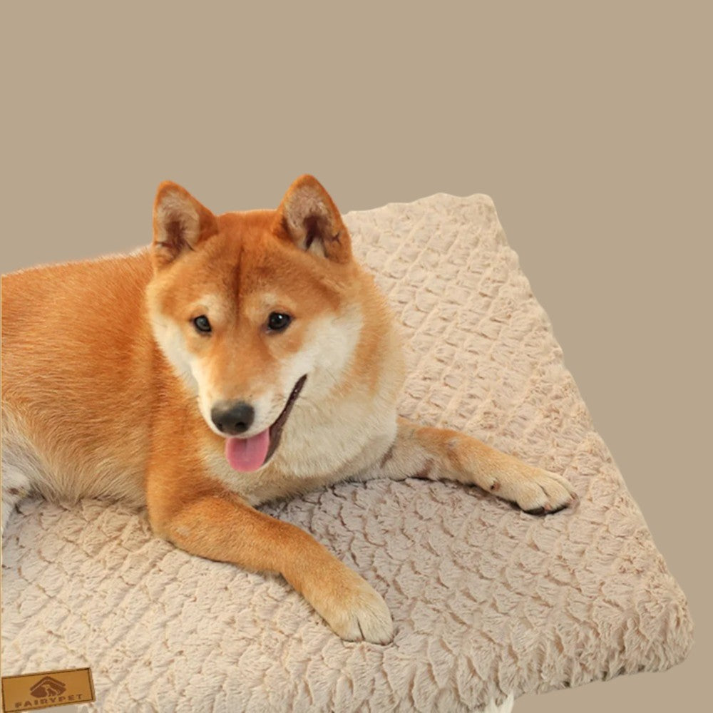 Cama Premium de Pana para Perros