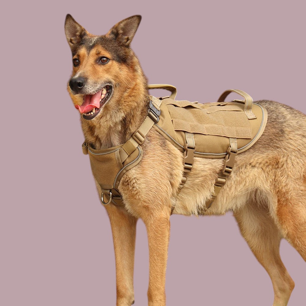 Árnes Antiescape para Perros