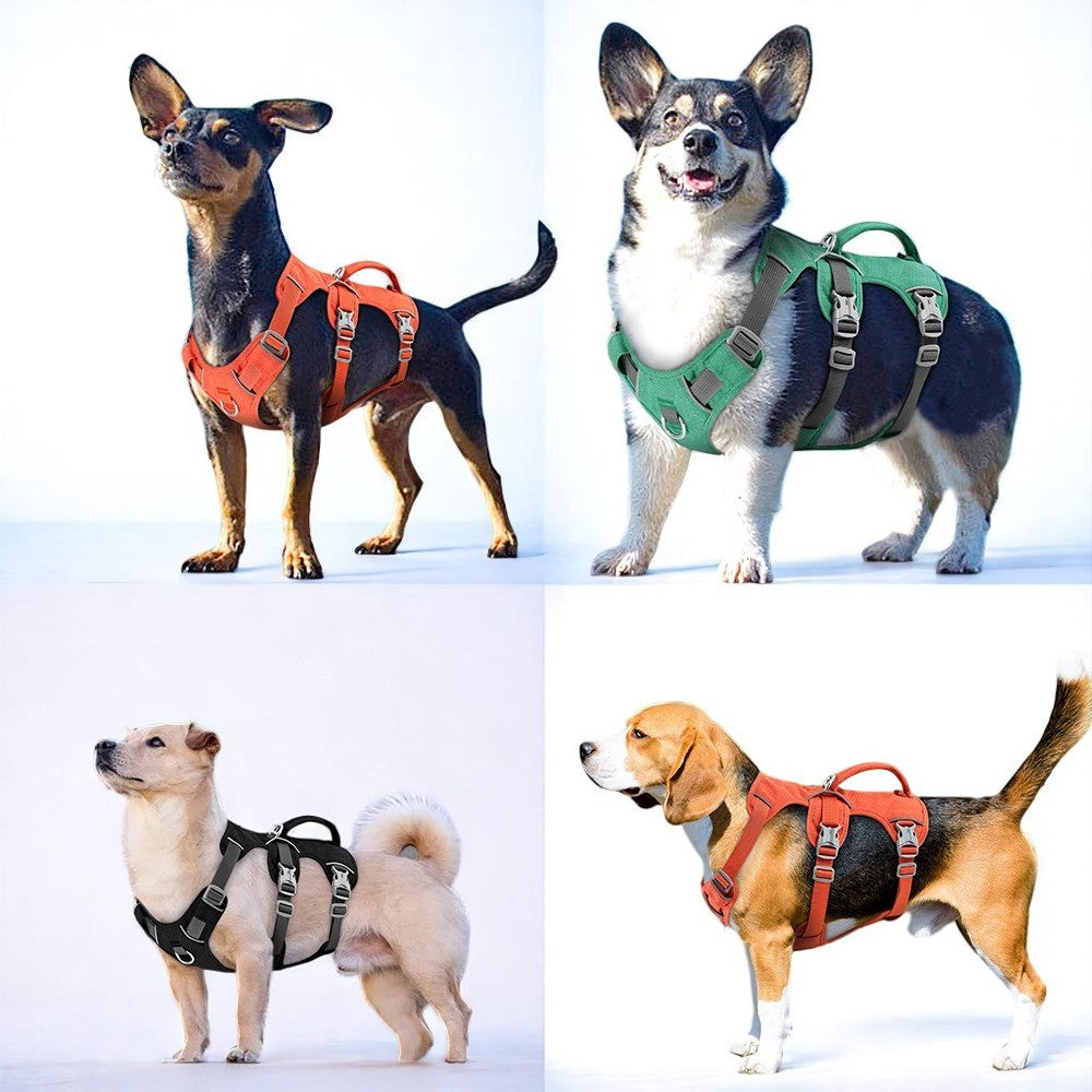 Arnés Reflectante Antitirones para Perros Pequeños y Medianos – Seguridad y Control Total