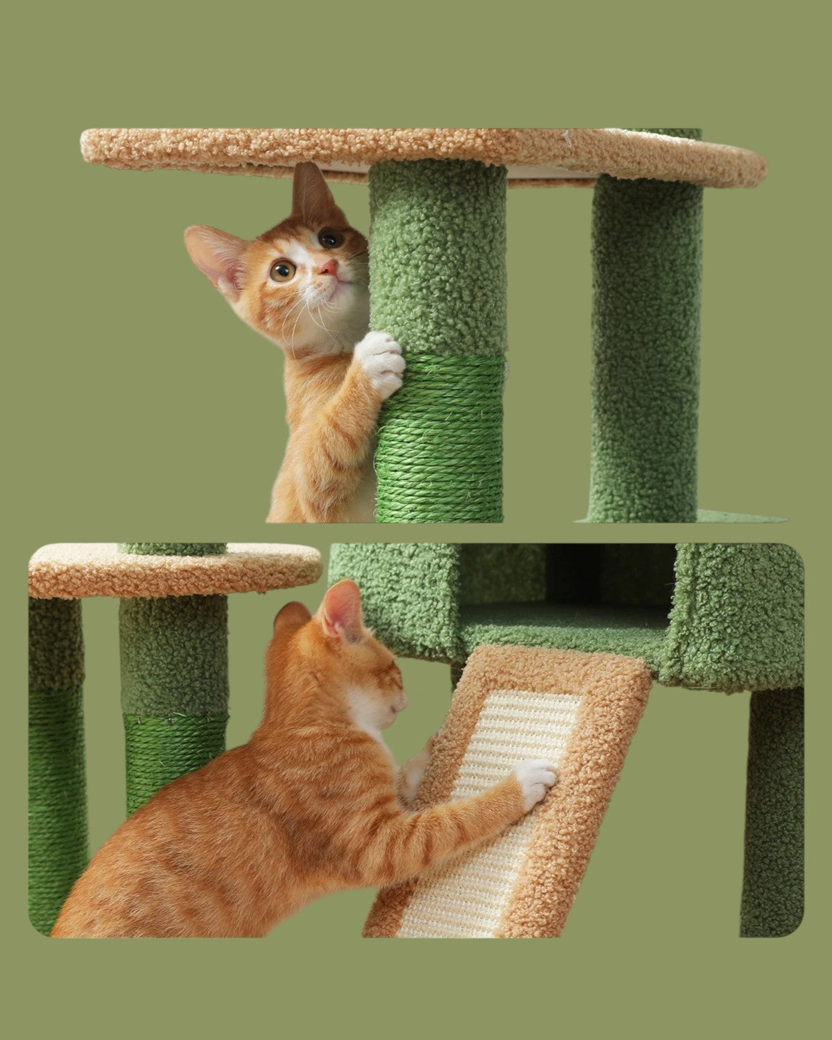 Árbol para Gatos de Múltiples Pisos