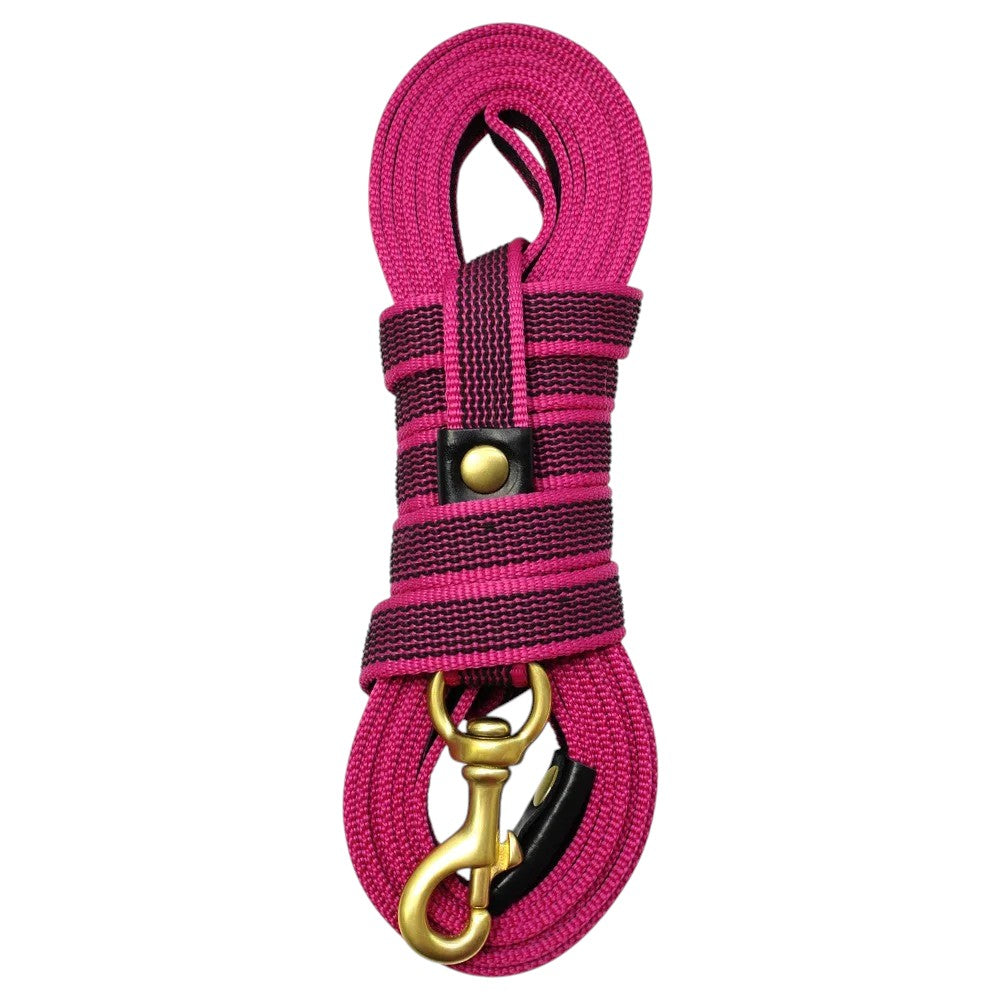 Correa para Perros de Nylon Larga Rosa Intenso