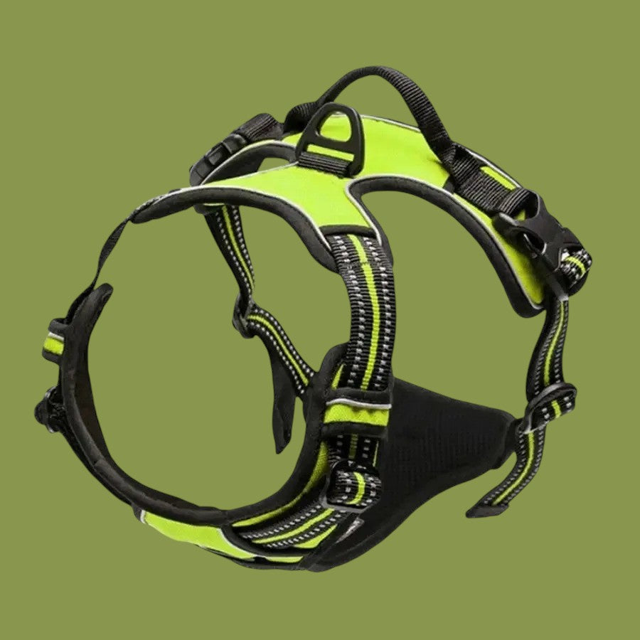 Arnés para Perros Vestido Verde