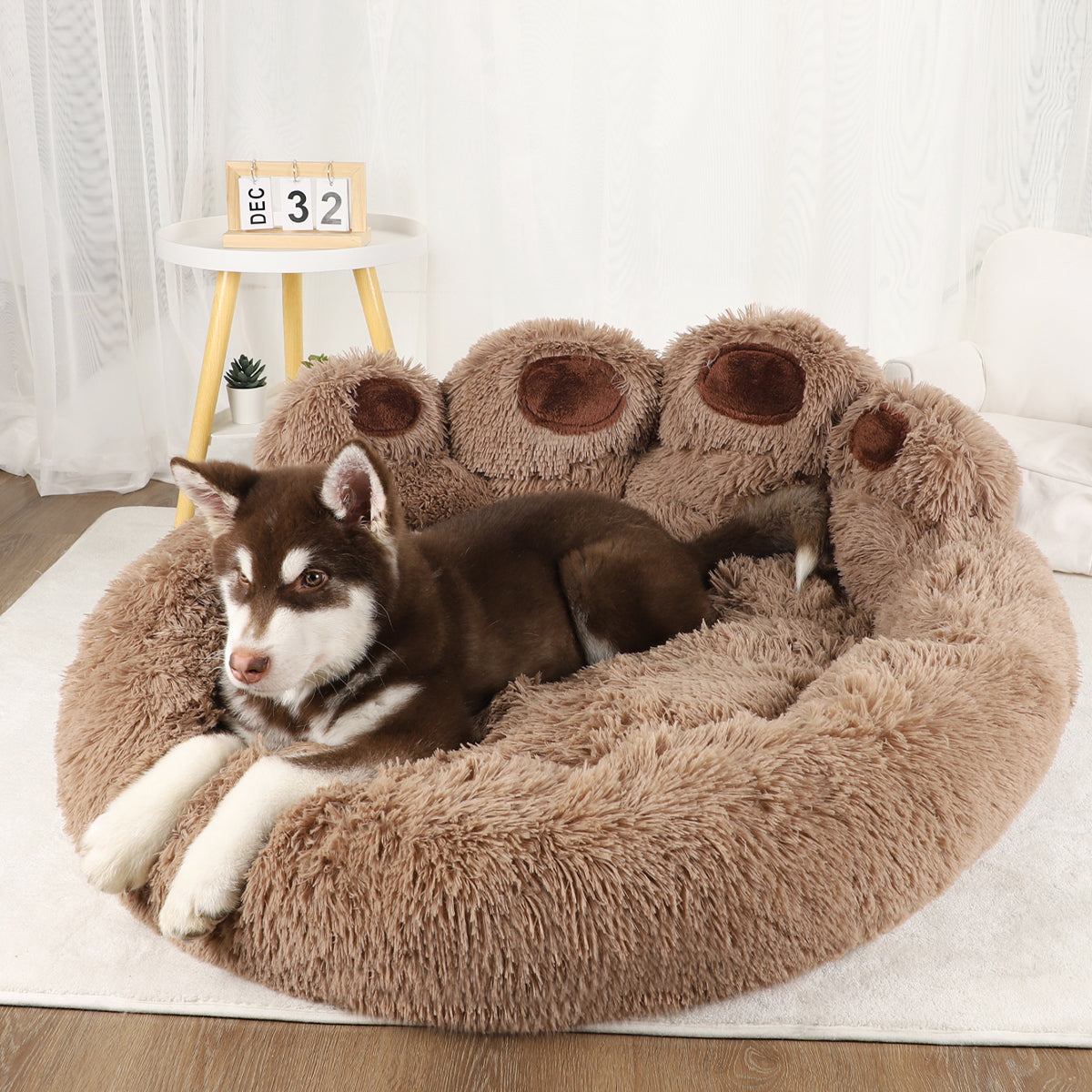 Cesta Esponjosa de Invierno para Perros - portada